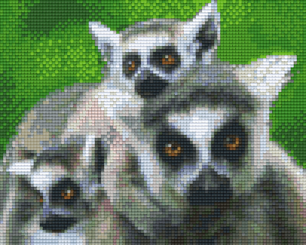 Pixelhobby Klassik Vorlage - Ringschwanz