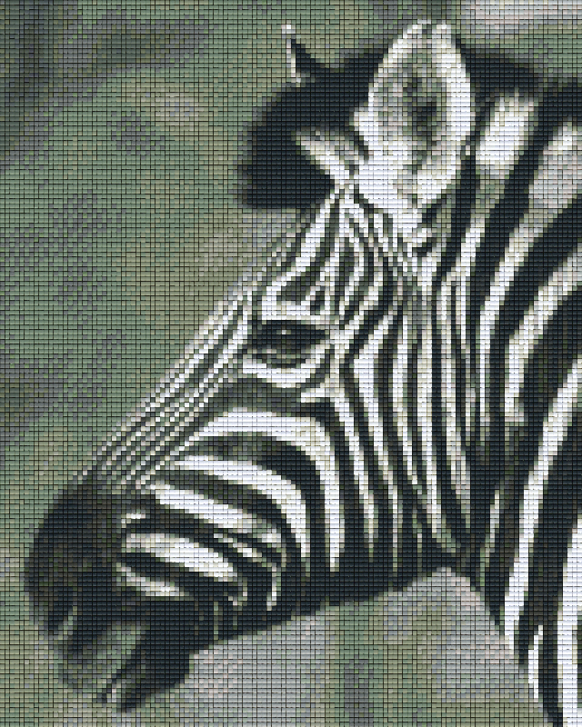 Pixelhobby Klassik Vorlage - Zebra s/w