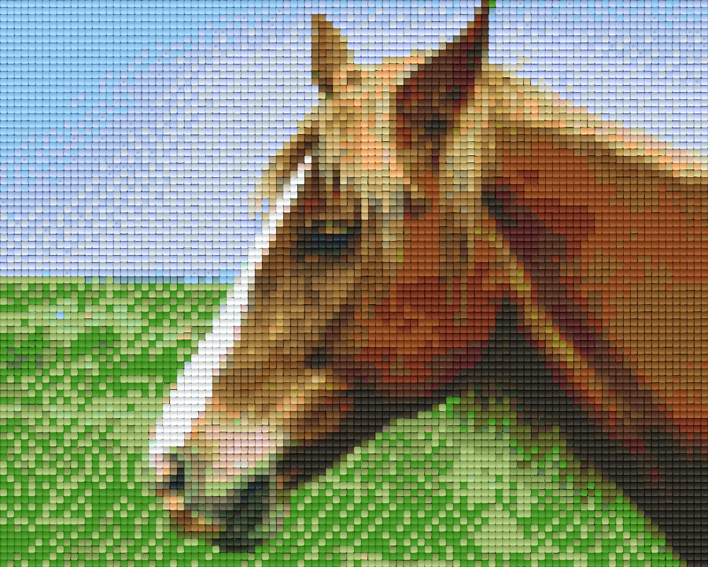 Pixelhobby Klassik Vorlage - Pferdekopf