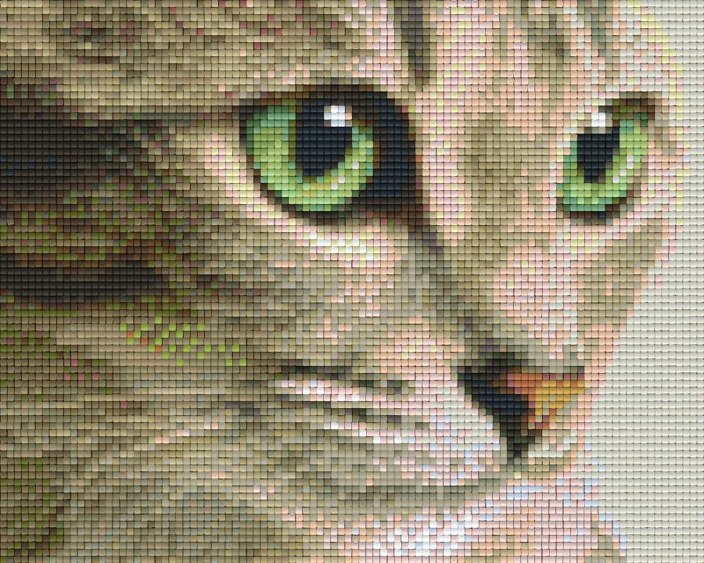 Pixelhobby Klassik Vorlage - Katze