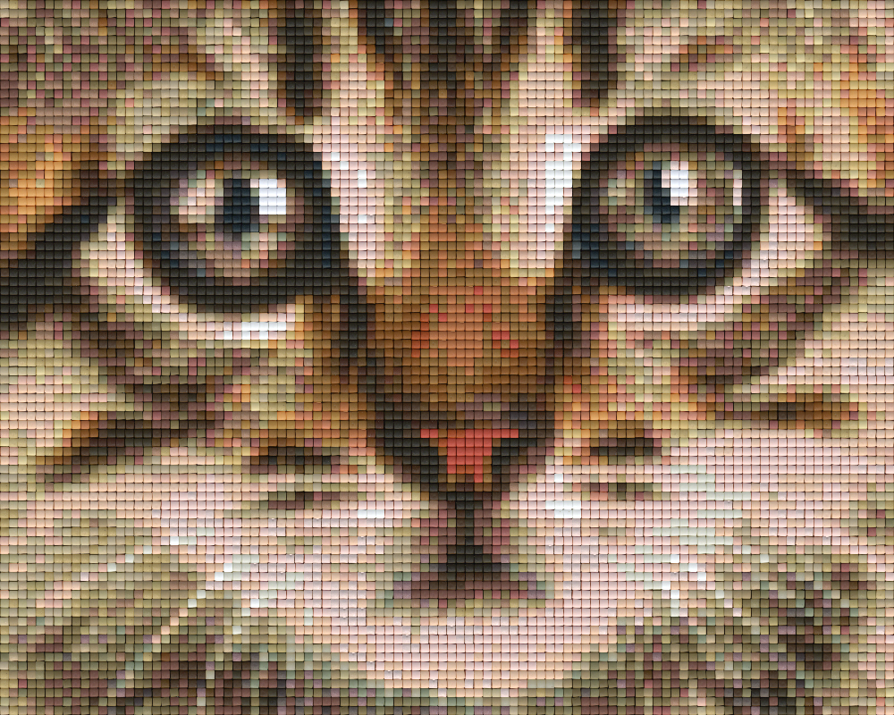 Pixelhobby Klassik Vorlage - Katze