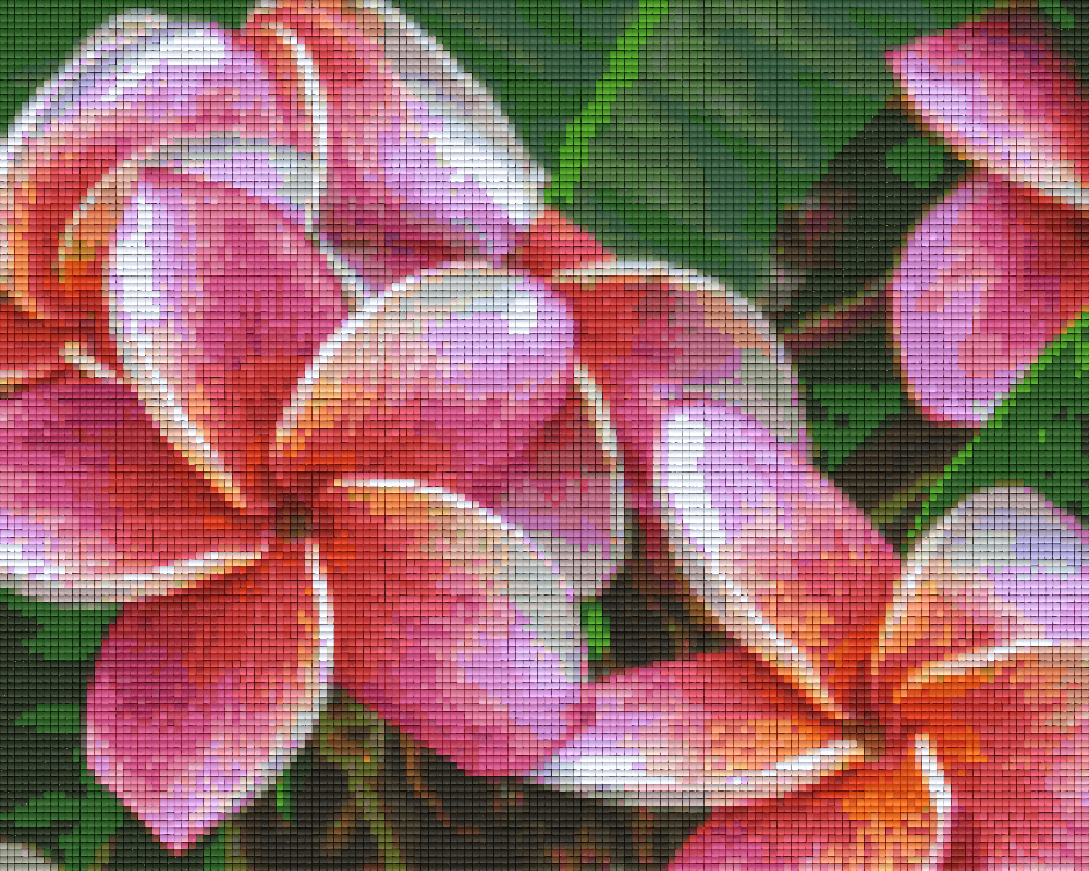 Pixelhobby Klassik Vorlage - Frangipani