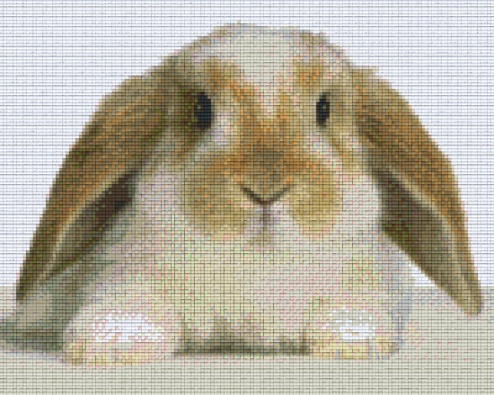 Pixelhobby Klassik Set - Hase