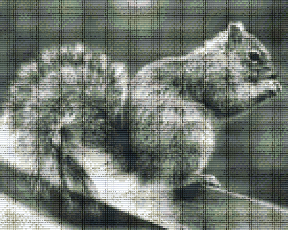 Pixelhobby Klassik Vorlage - Eichhörnchen s/w