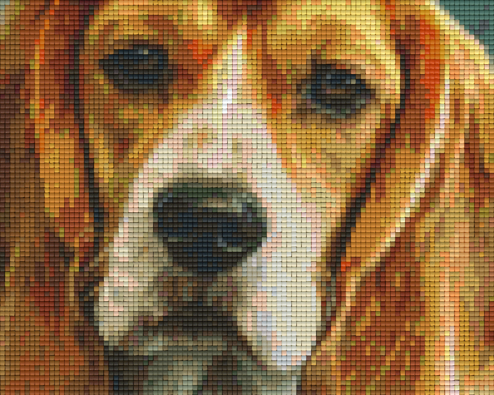 Pixelhobby Klassik Vorlage - Beagle