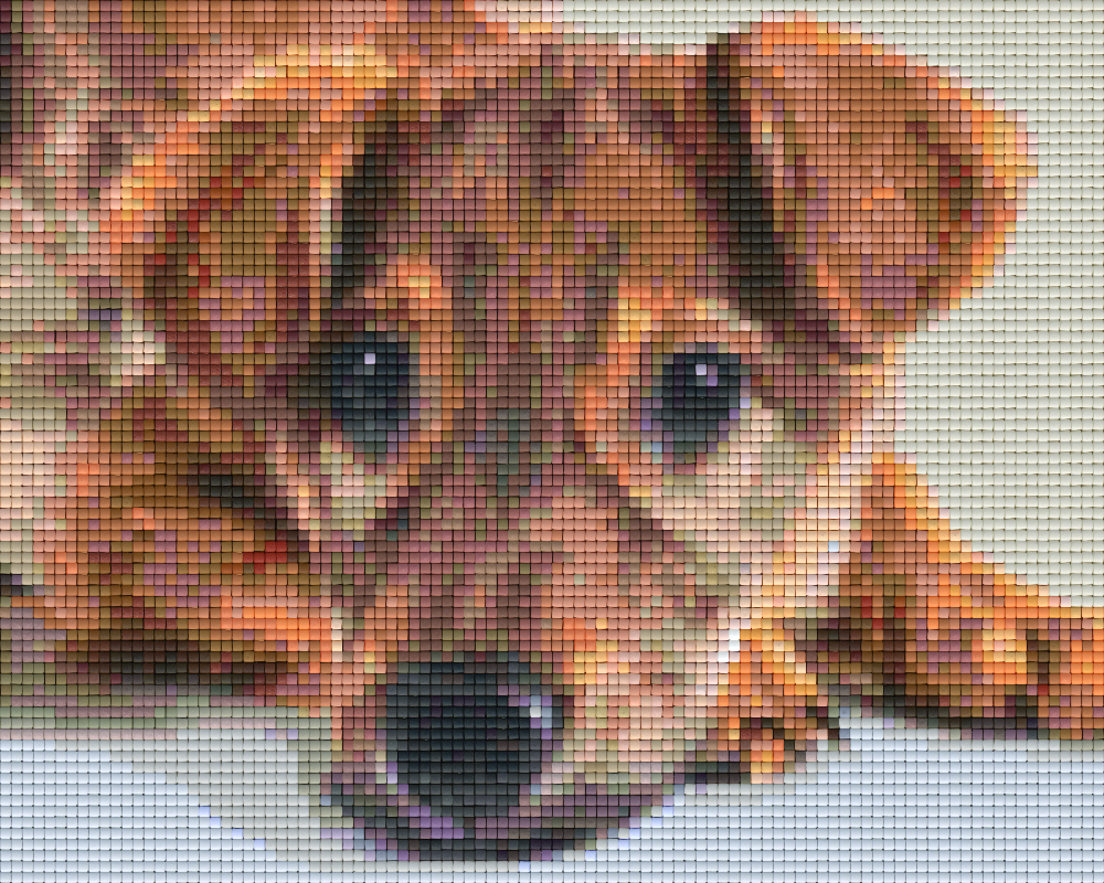 Pixelhobby Klassik Set - Hund