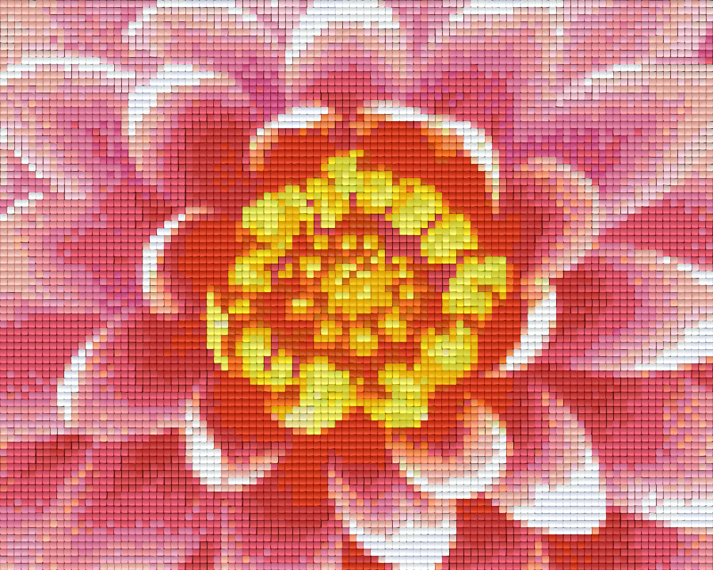 Pixelhobby Klassik Vorlage - Lotus