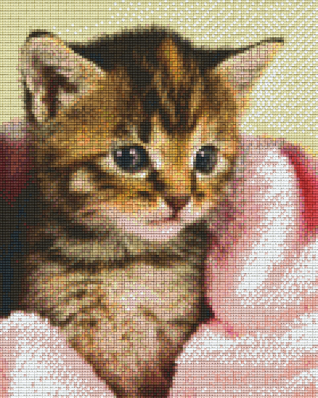 Pixelhobby Klassik Vorlage - Kätzchen