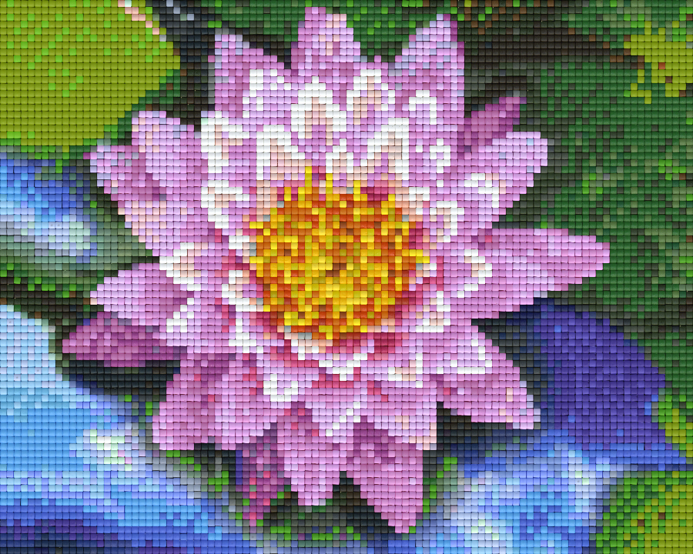 Pixelhobby Klassik Vorlage - Wasserlilie