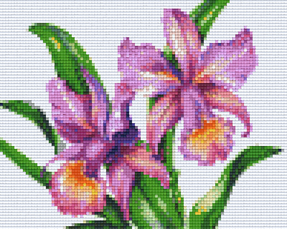 Pixelhobby Klassik Vorlage - Narzissen