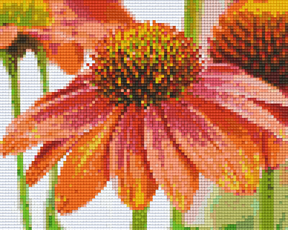 Pixelhobby Klassik Vorlage - Blumen im Detail