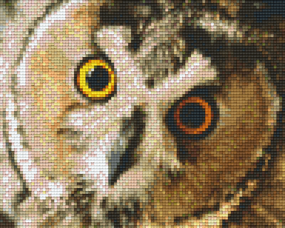 Pixelhobby Klassik Vorlage - Eule