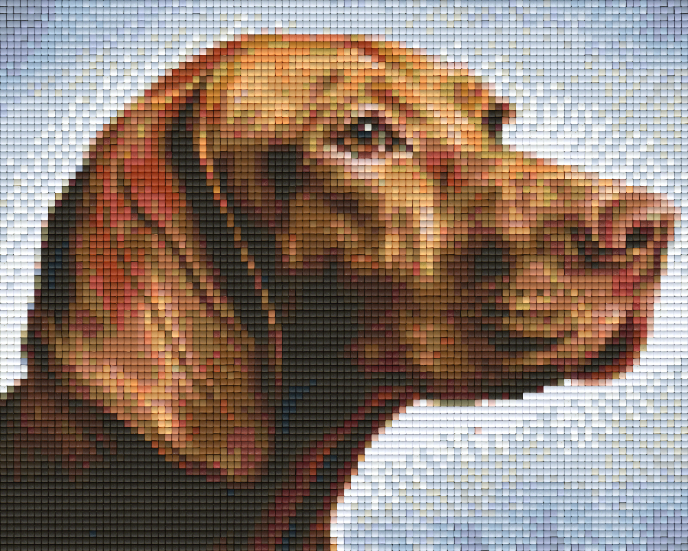 Pixelhobby Klassik Vorlage - Labrador