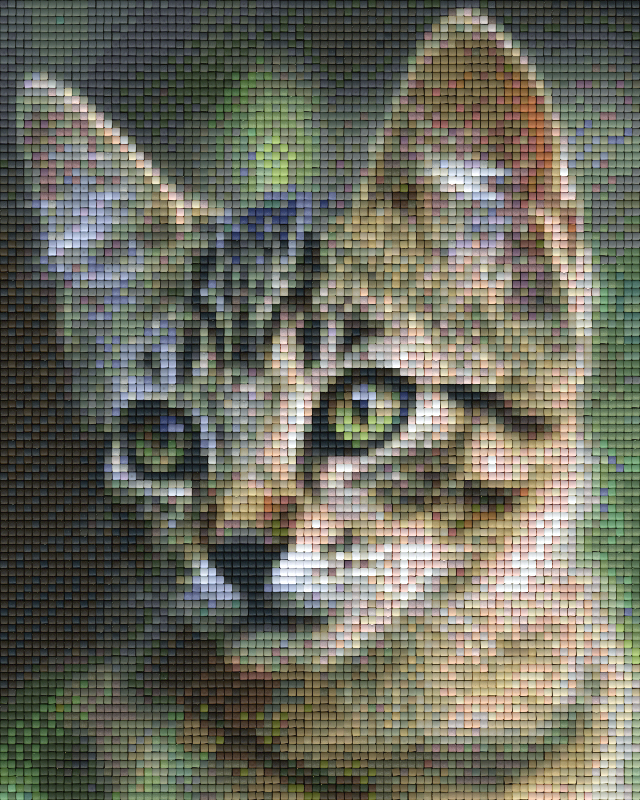 Pixelhobby Klassik Vorlage - Katze