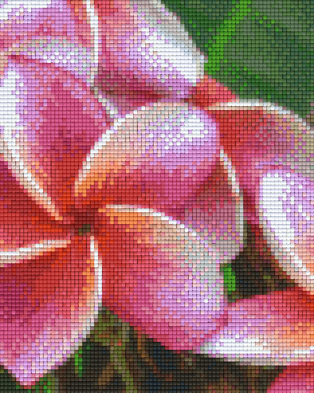 Pixelhobby Klassik Vorlage - rosa Blumen