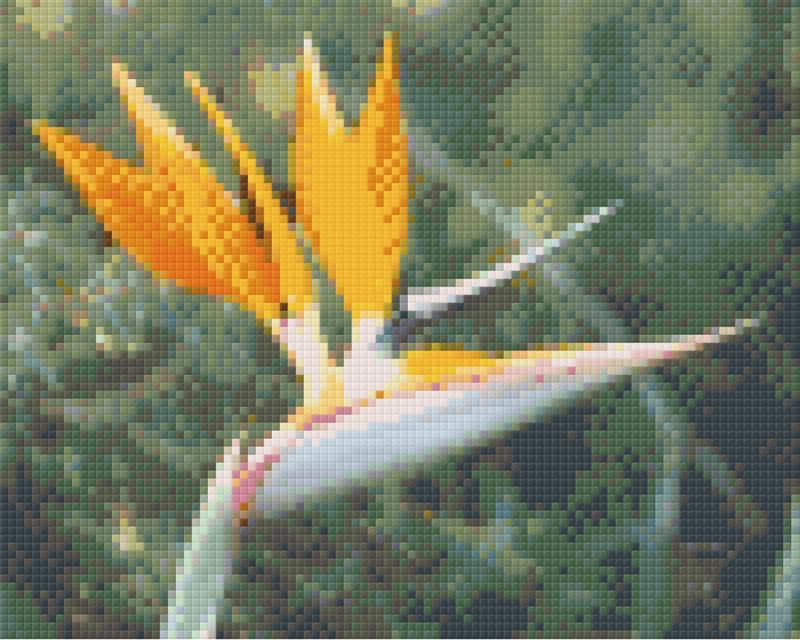 Pixelhobby Klassik Vorlage - Blüte Feuervogel