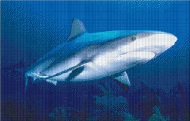 Pixel hobby classic template - shark