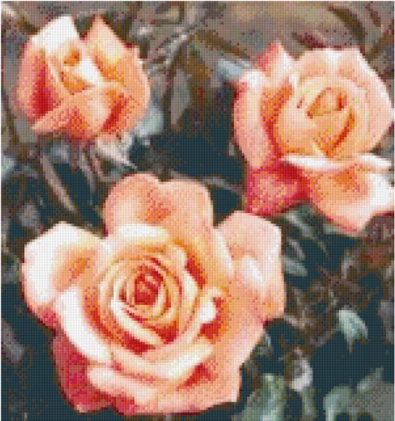 Pixelhobby Klassik Vorlage - Drei Rosen