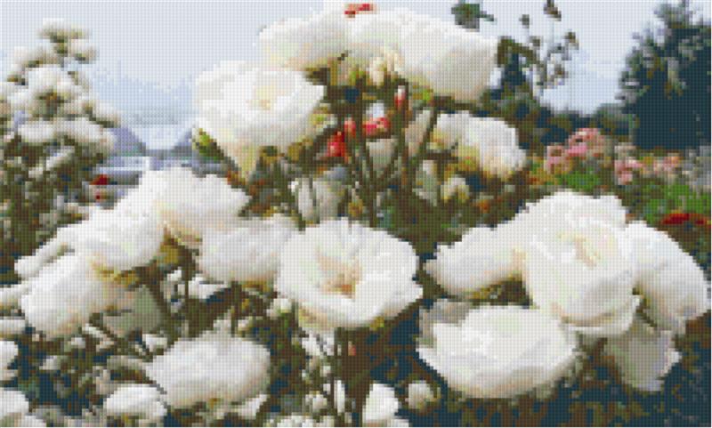 Pixelhobby Klassik Set - Weiße Rose