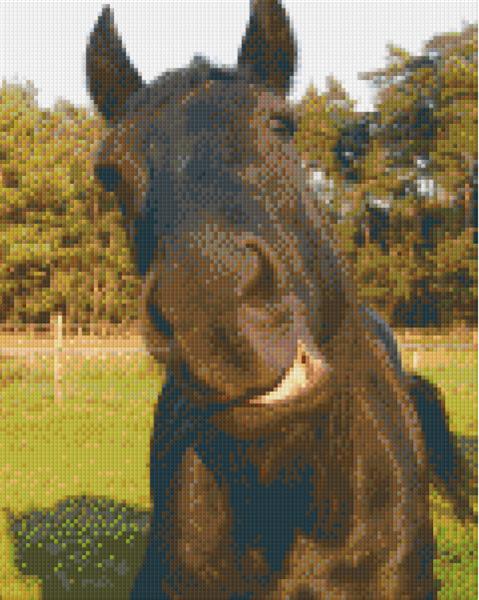 Pixel hobby classic template - kiss horse