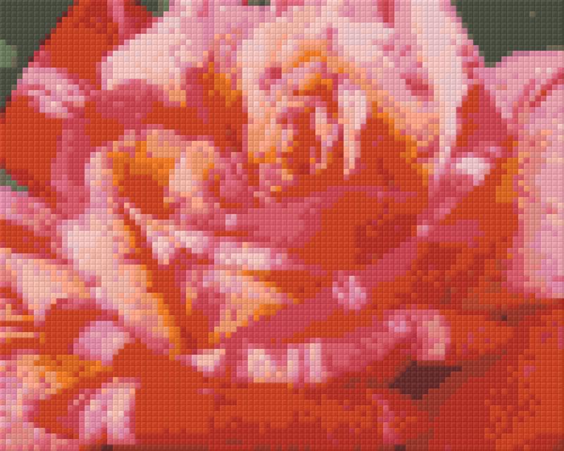 Pixelhobby Klassik Vorlage - rote Kletterrose