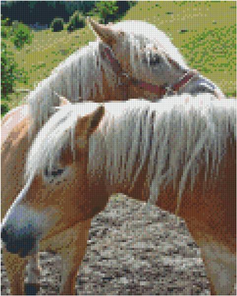 Pixel hobby classic template - two ponies