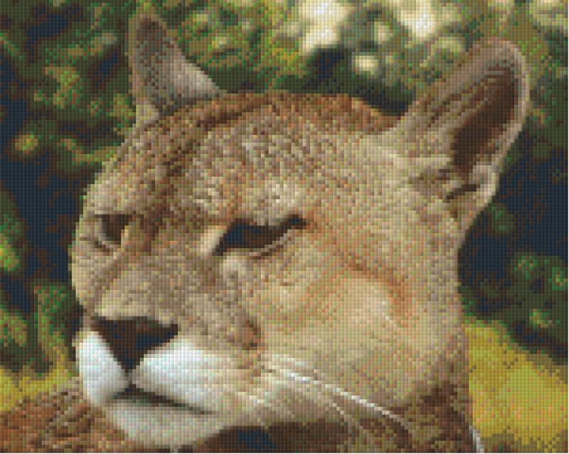 Pixel hobby classic template - wild cat