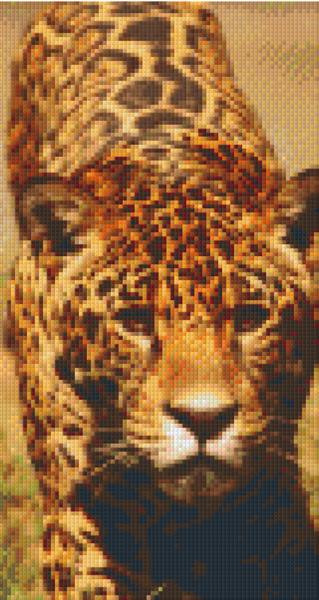 Pixelhobby Klassik Vorlage - Leopard