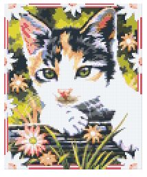 Pixelhobby Klassik Vorlage - Maximillian