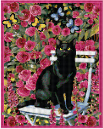 Pixelhobby Klassik Vorlage - Black, blue, yellow Beautys