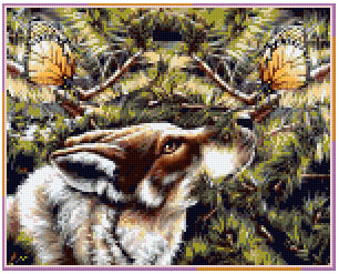Pixel Hobby Classic Template - The Wolf & the Butterflies