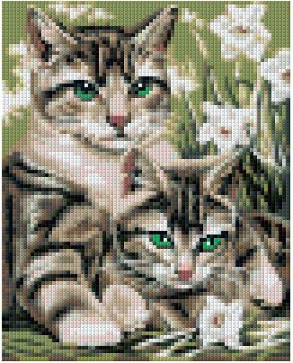 Pixelhobby Klassik Set - Green Eyes