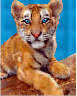 Pixelhobby Klassik Set - The new world