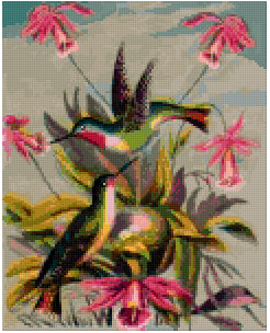 Pixelhobby Klassik Vorlage - Vitorian Hummingbirds