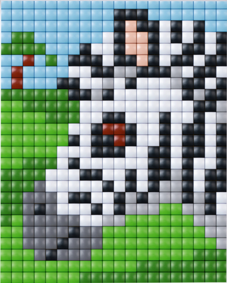 Pixelhobby XL Gift Sets - Zebra