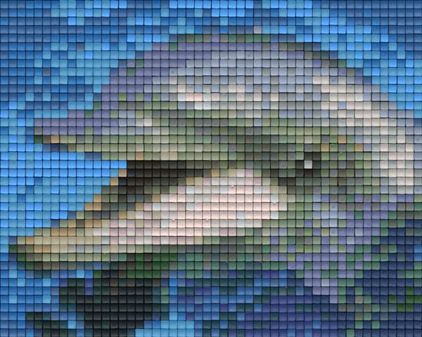 Pixelhobby Klassik Vorlage - Delfin