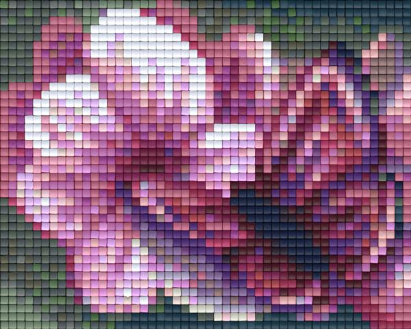 Pixel Klassik Set - Schmetterling A