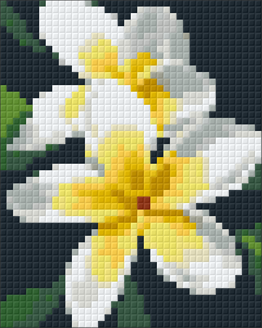 Pixelhobby Klassik Vorlage - Frangipani weiß