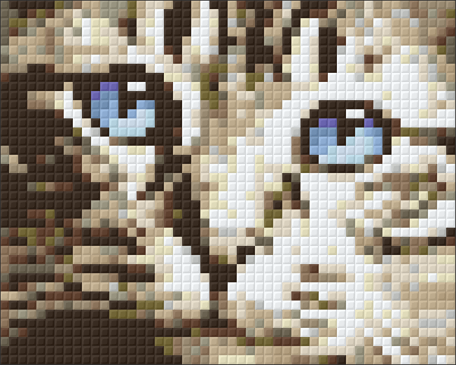 Pixel hobby classic template - cat