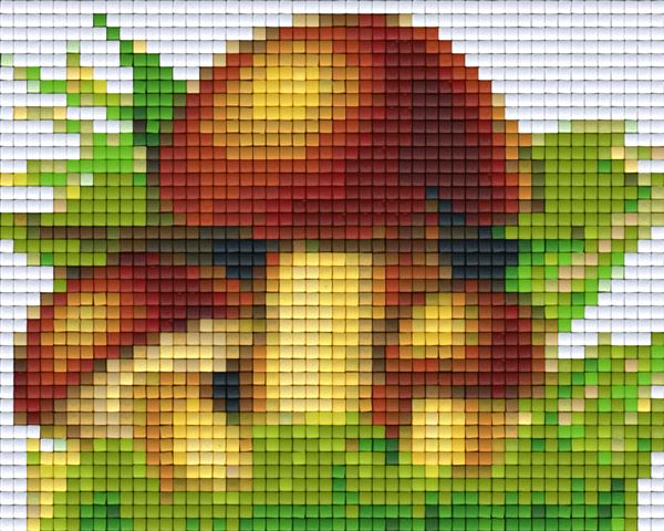 Pixelhobby Klassik Vorlage - Pilze