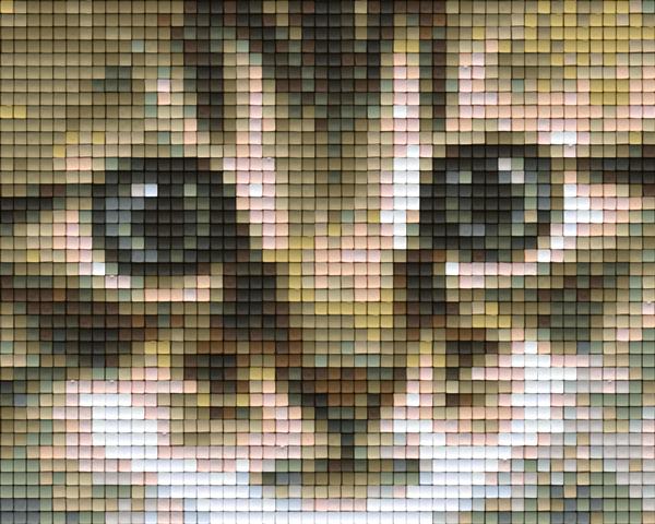 Pixel hobby classic template - cat