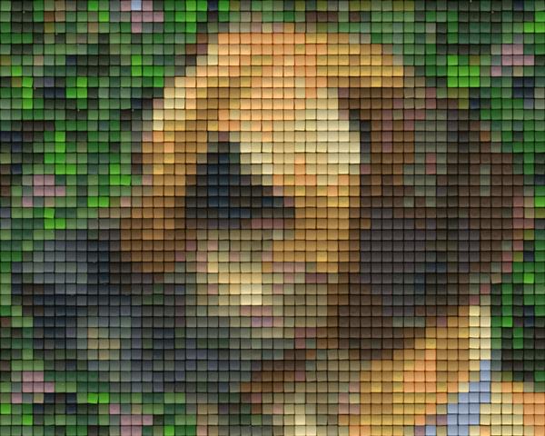 Pixelhobby Klassik Vorlage - Hund