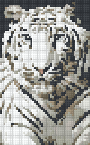 Pixelhobby Klassik Vorlage - Weißer Tiger