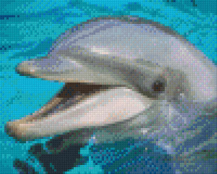 Pixelhobby Klassik Vorlage - Delfin