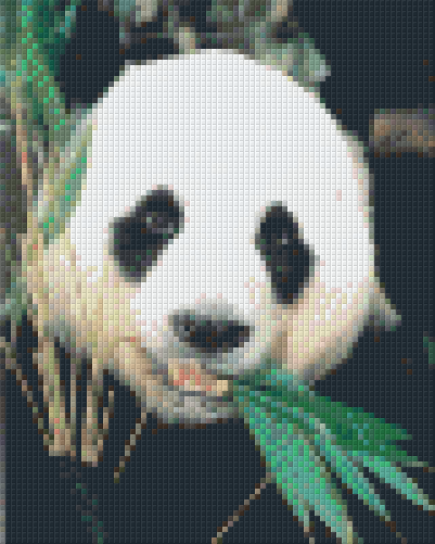 Pixelhobby Klassik Vorlage - Panda
