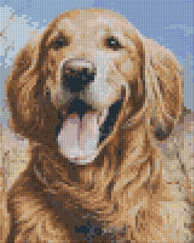 Pixelhobby Klassik Vorlage - Golden Retriever