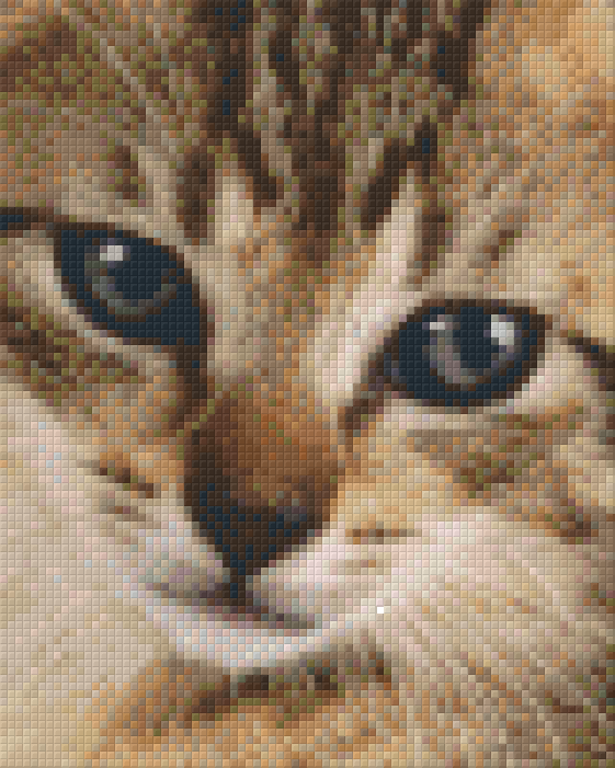 Pixel hobby classic template - kitty cat