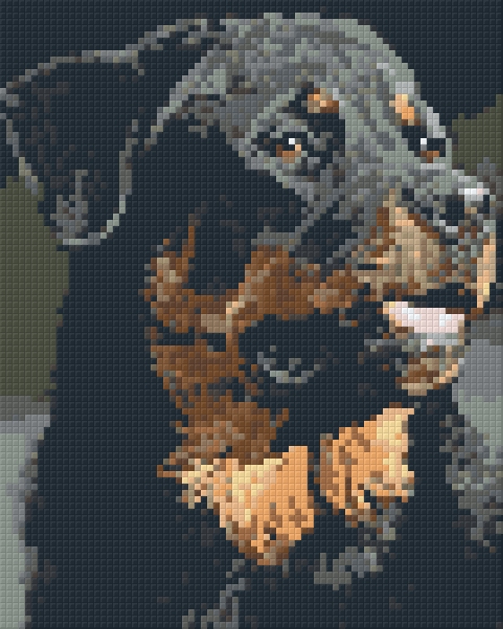 Pixelhobby Klassik Vorlage - Rottweiler