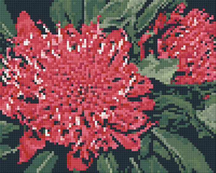 Pixelhobby Klassik Vorlage - Waratah