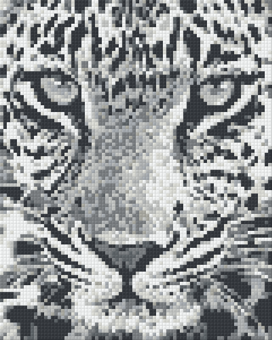 Pixelhobby Classic Set - Leopard in white